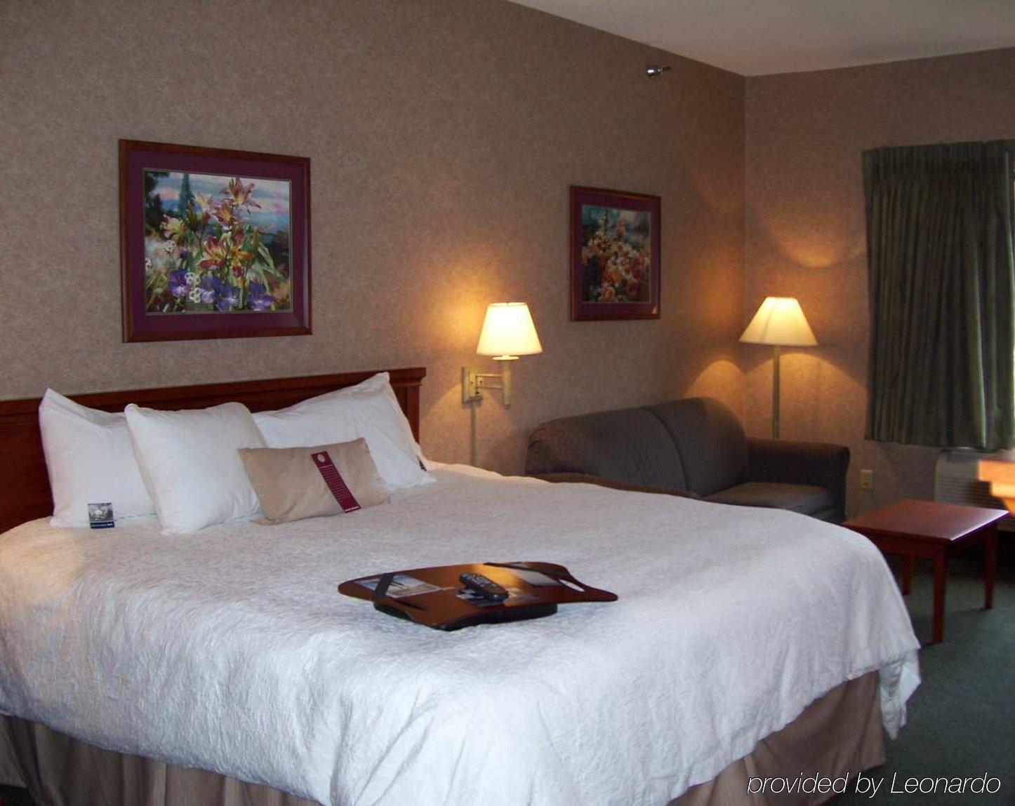 Hampton Inn Detroit/Belleville-Airport Area Room photo